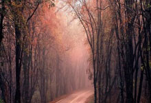 柏林赫塔遭遇战败球队前景暗淡