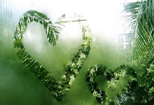 步行者主教练麦克米兰获得最佳指挥