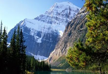 步行者主教练麦克米兰获得最佳指挥